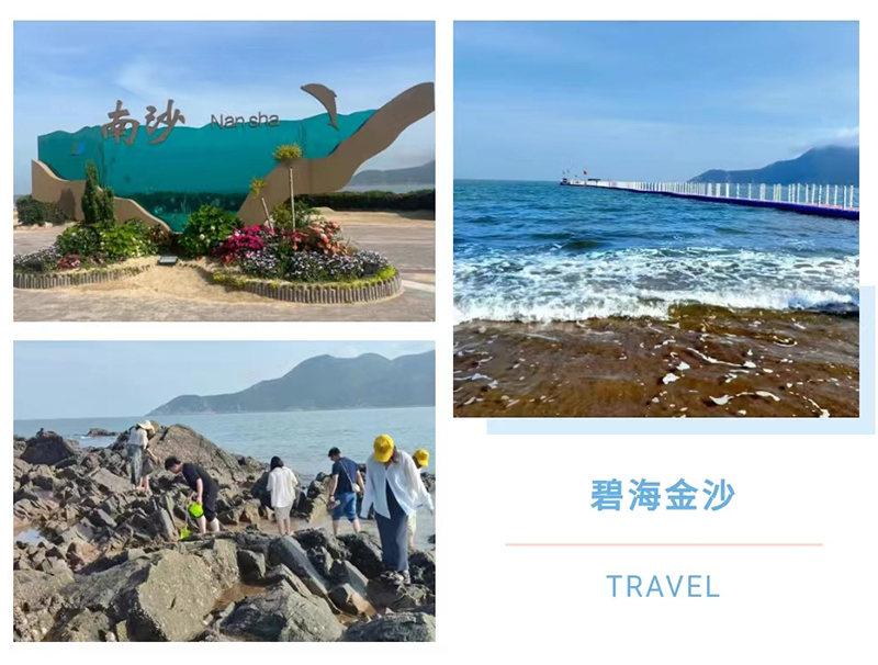 共赴山海之約| 德信致遠舟山-烏鎮(zhèn)四日游圓滿落幕